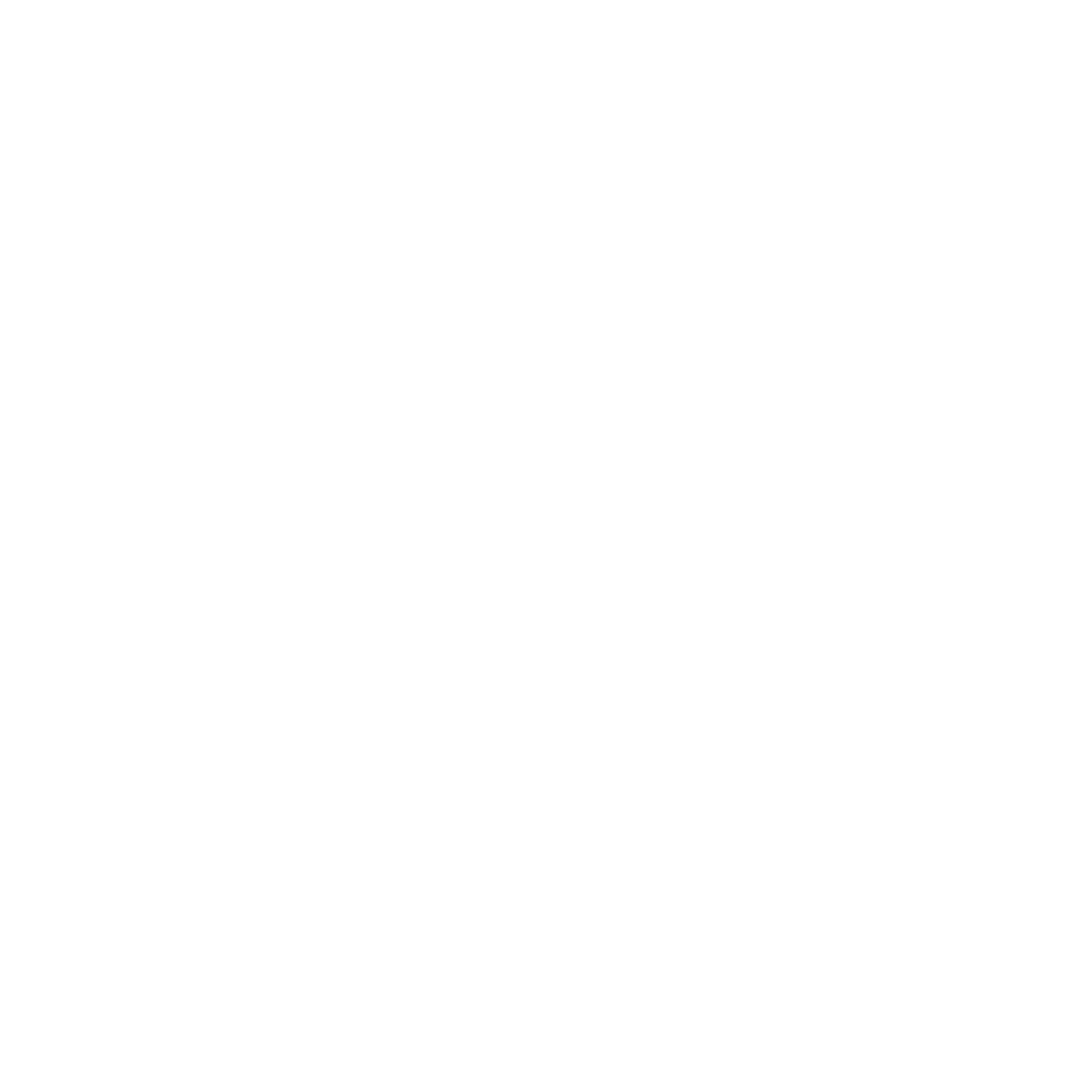 STEK Formula logo
